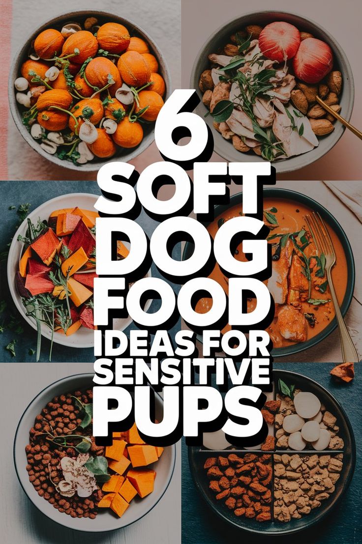 6 Soft Dog Food Ideas For Sensitive Pups